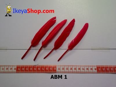 bulu angsa mini ABM 1   feather  large2